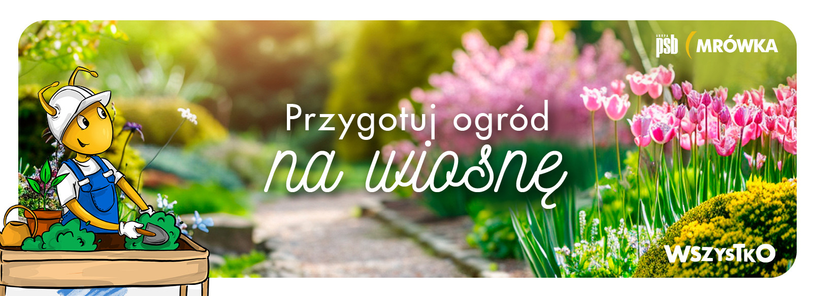 Grupa PSB mrowka Mrówka Łososina