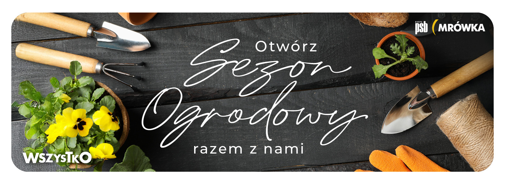 Grupa PSB mrowka Mrówka Łososina