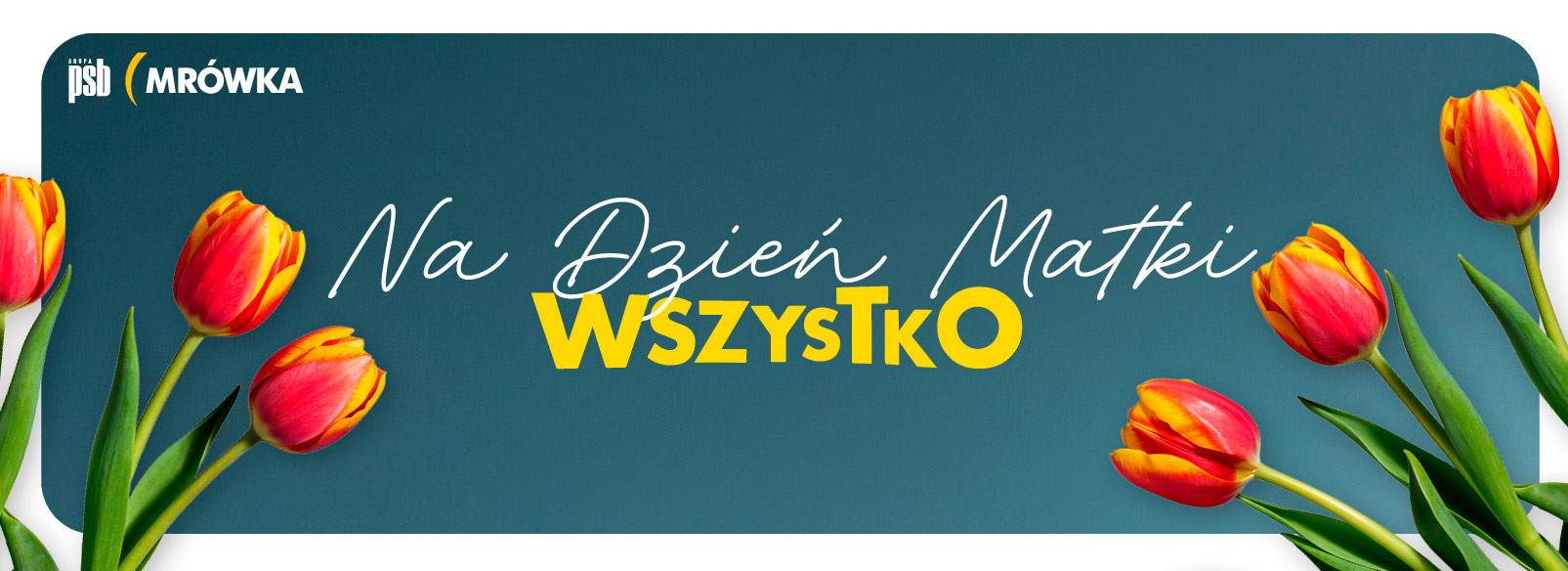 Grupa PSB mrowka Mrówka Łososina
