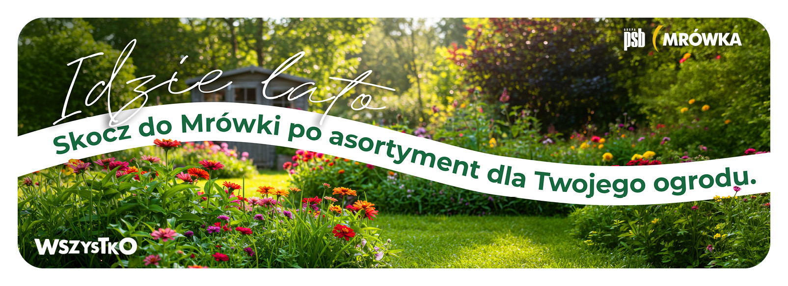 Grupa PSB mrowka Mrówka Łososina